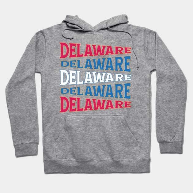 NATIONAL TEXT ART DELAWARE Hoodie by LAVA-ROMA-NOVA